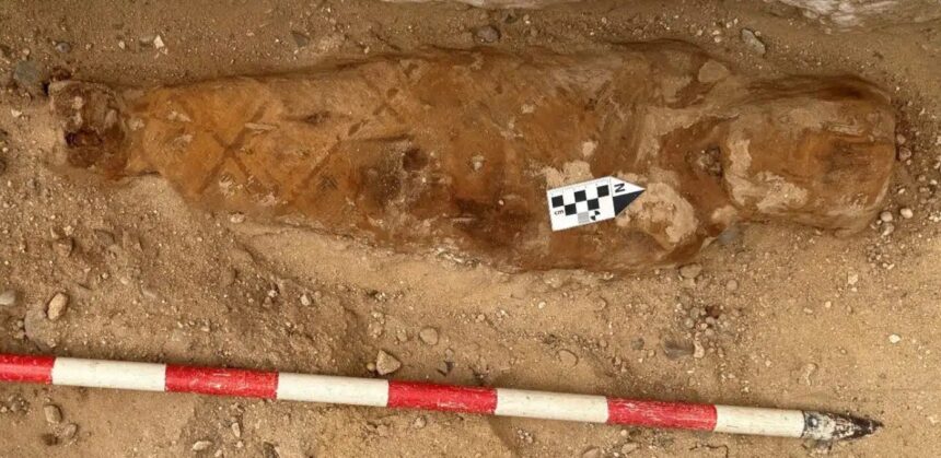 Misirdə fövqəladə tarixi kəşf: 1600 illik mumiyanın içindən Homerin “İliada” dastanı tapıldı